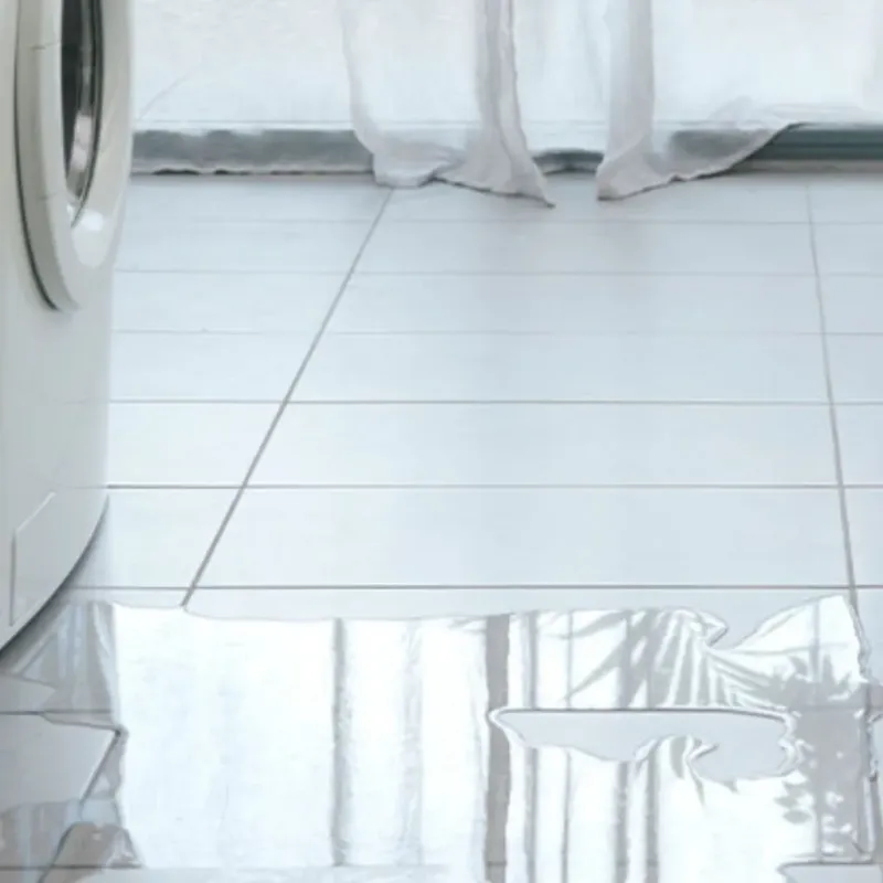 Appliance Leak Cleanup in Middleburg, FL