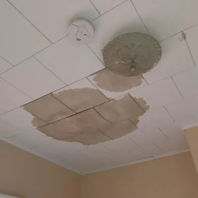 Ceiling Water Damage Repair in Middleburg, FL